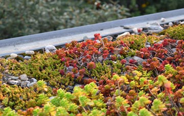 the cost of Norton Canes green roof installation