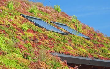 Norton Canes living roof systems